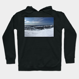 Snow Pano Hoodie